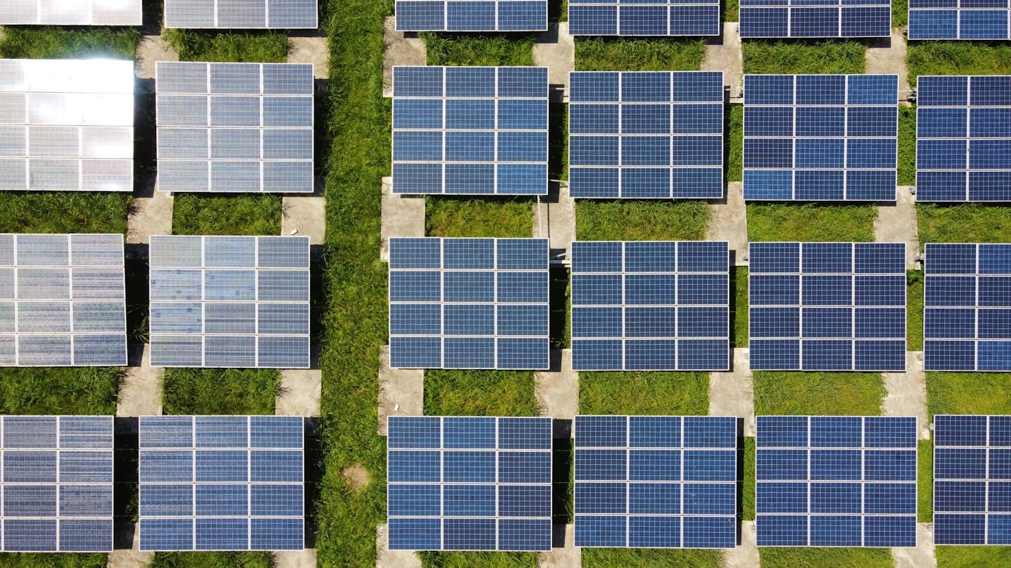How Kynexis Dream Foundation Drives Sustainable Development