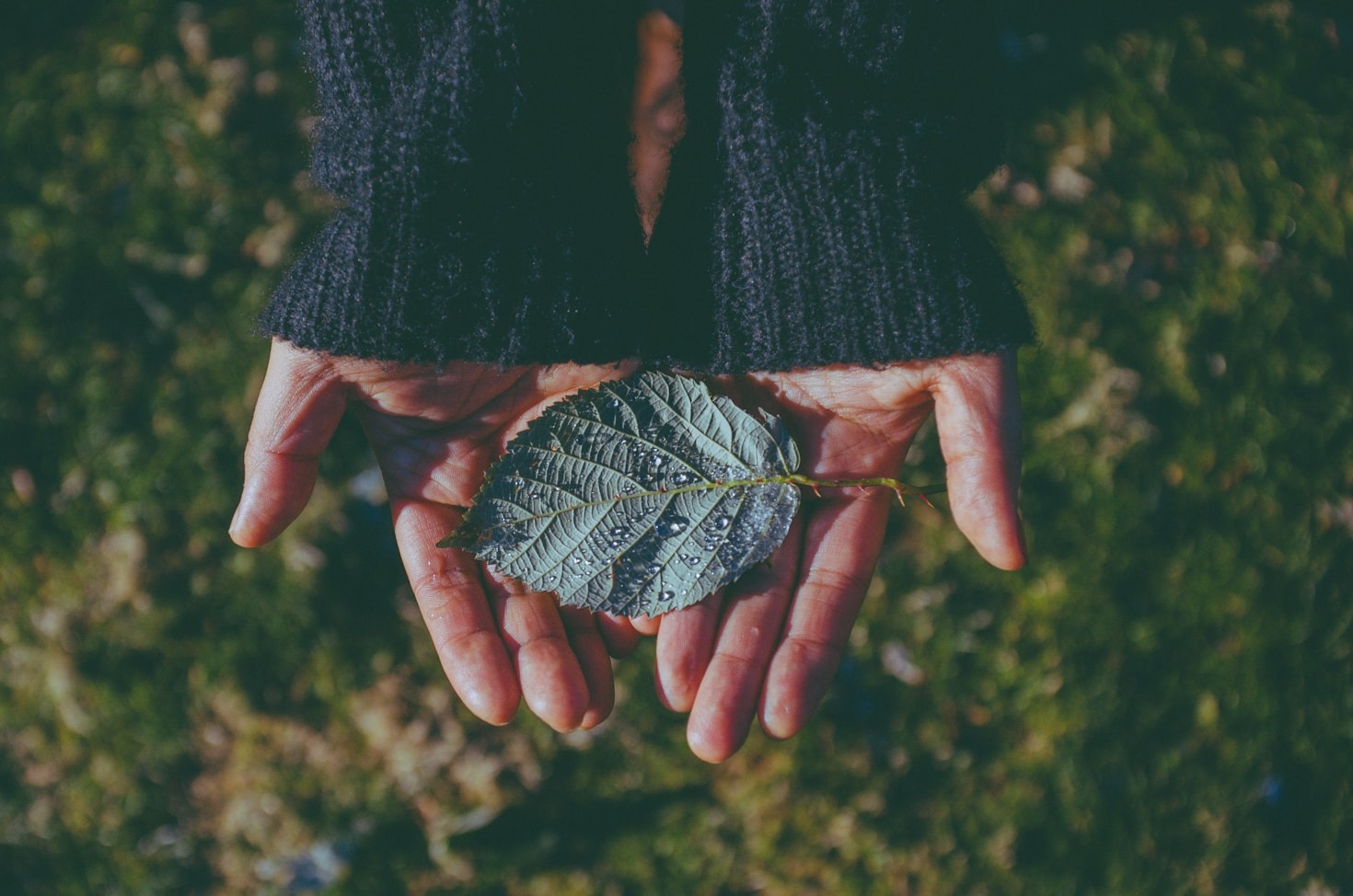 The Legacy of Kynexis: Inspiring a Sustainable Future